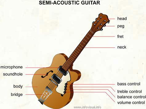 Semi-acoustic guitar  (Visual Dictionary)